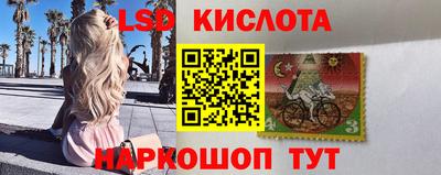 прущие грибы Малгобек
